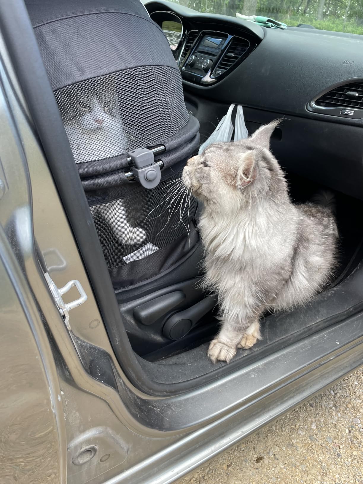 Pet Gear No-Zip View 360 Pet Carrier & Car Seat, Dark Charcoal, 20