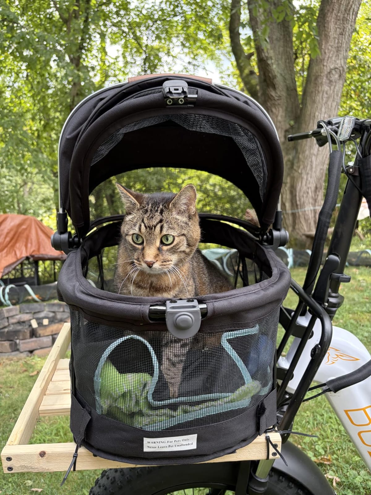 Pet Gear No-Zip View 360 Pet Carrier & Car Seat, Dark Charcoal, 20
