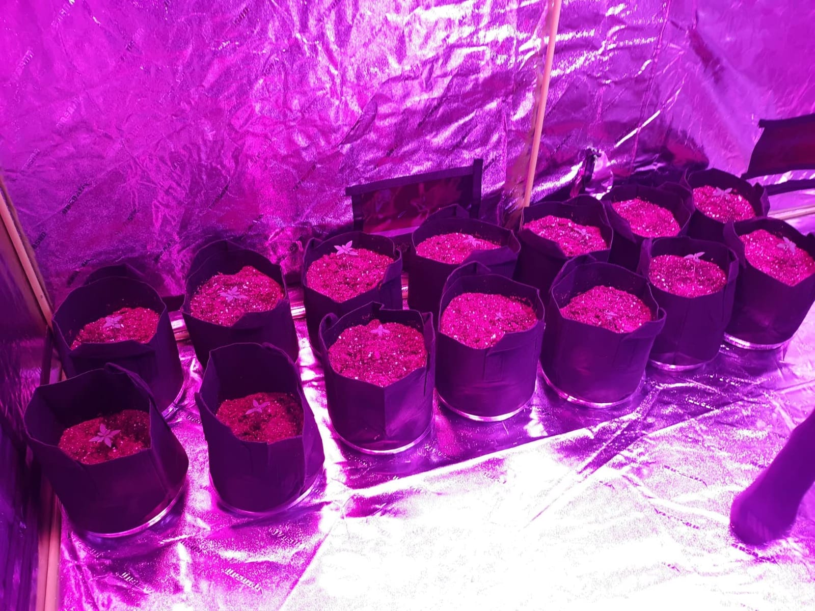 VIVOSUN Upgraded 2x4x6 Grow Tent 48