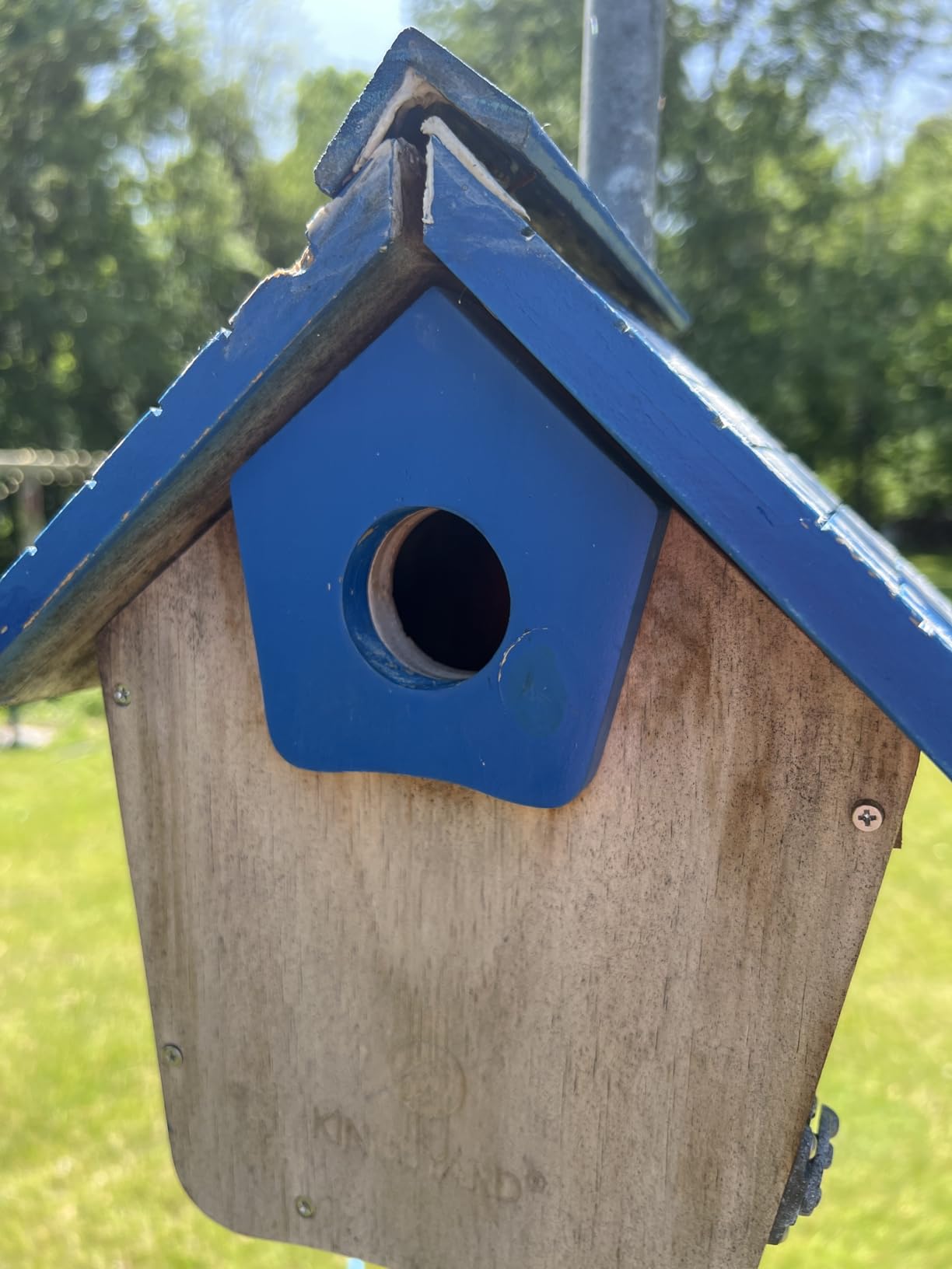 Kingsyard Squirrel Proof Hanging Bird Feeder for Outdoors | Weight-Activated, Chew-Resistant Metal, Weather-Resistant, Easy to Clean, Small Bird Friendly, 2.5 lbs Capacity customer photo 1