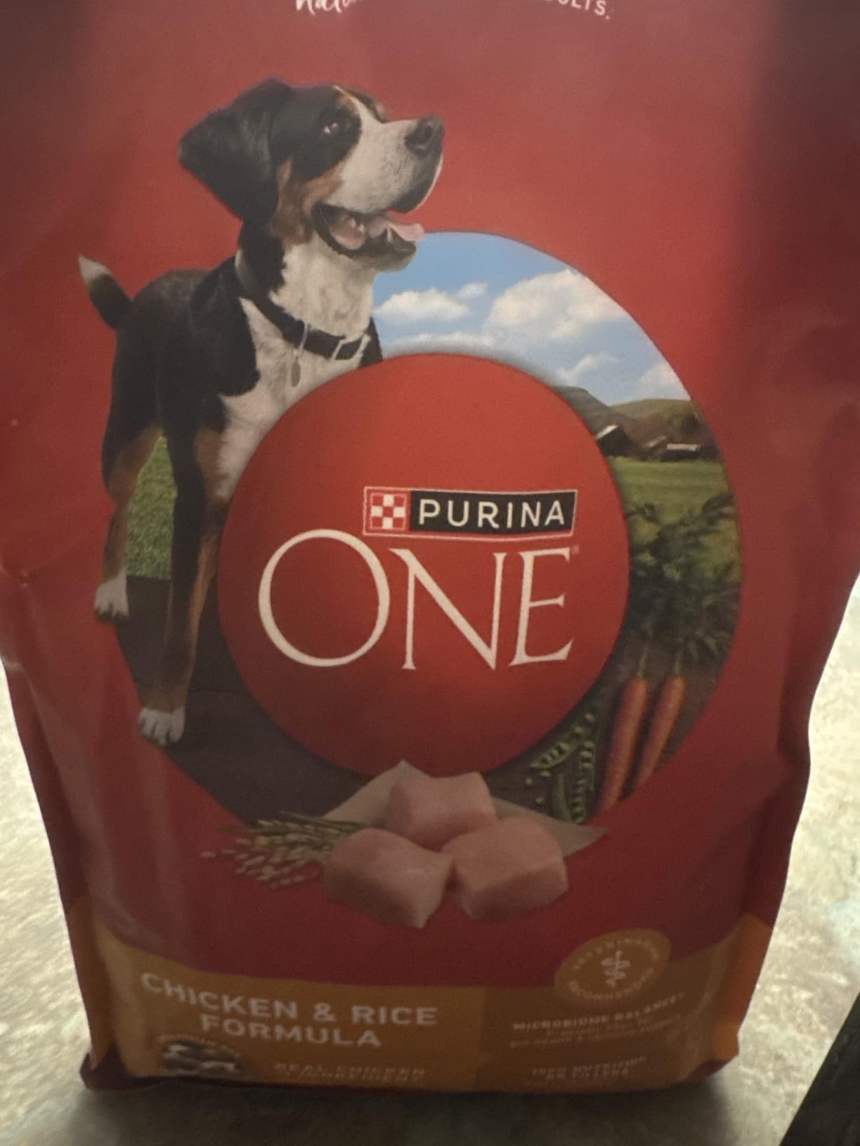 Purina ONE Chicken & Rice Formula Dry Dog Food, 8 lb Bag customer photo 1