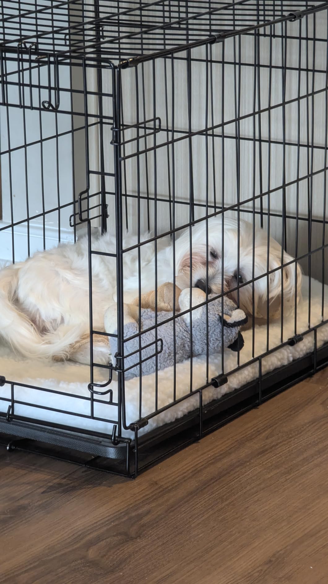 MidWest Homes for Pets QuietTime XXS Dog Bed - Gray Faux Fur Bolster, Ultra-Soft and Machine Washable, Fits 18-Inch Crates and Carriers, for Small Dogs and Cats customer photo 2