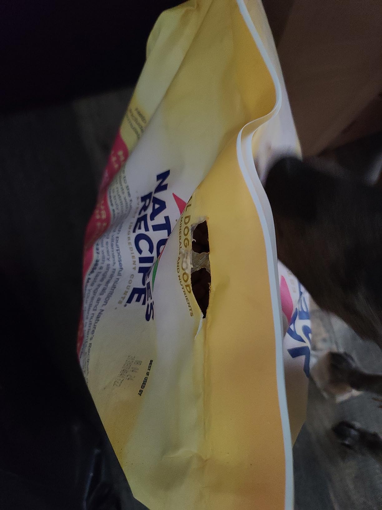 Nature's Recipe Grain Free Salmon Dry Dog Food, 4 lb. Bag customer photo 2