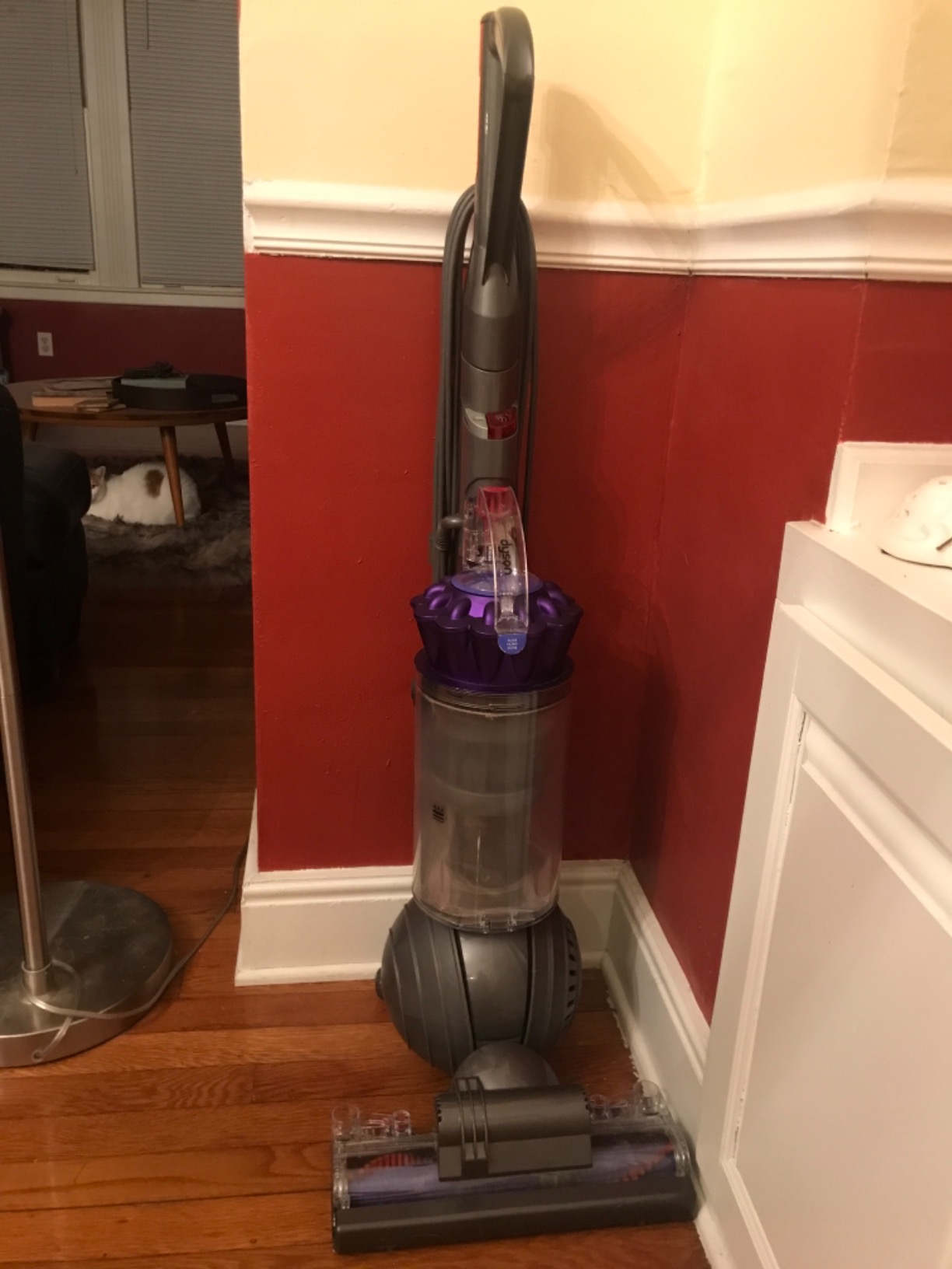 Dyson Ball Animal Upright Vacuum - Corded customer photo 2