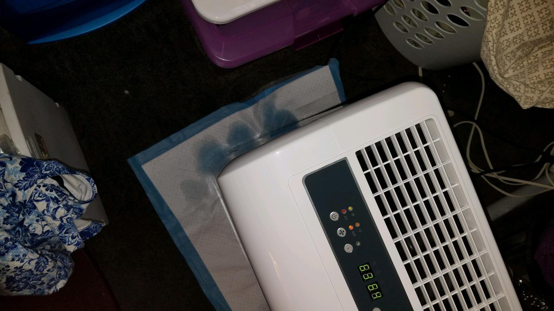 Ivation 50 Pint Dehumidifier for Basement w/Pump & Drain Hose, 4,500 Sq Ft customer photo 1