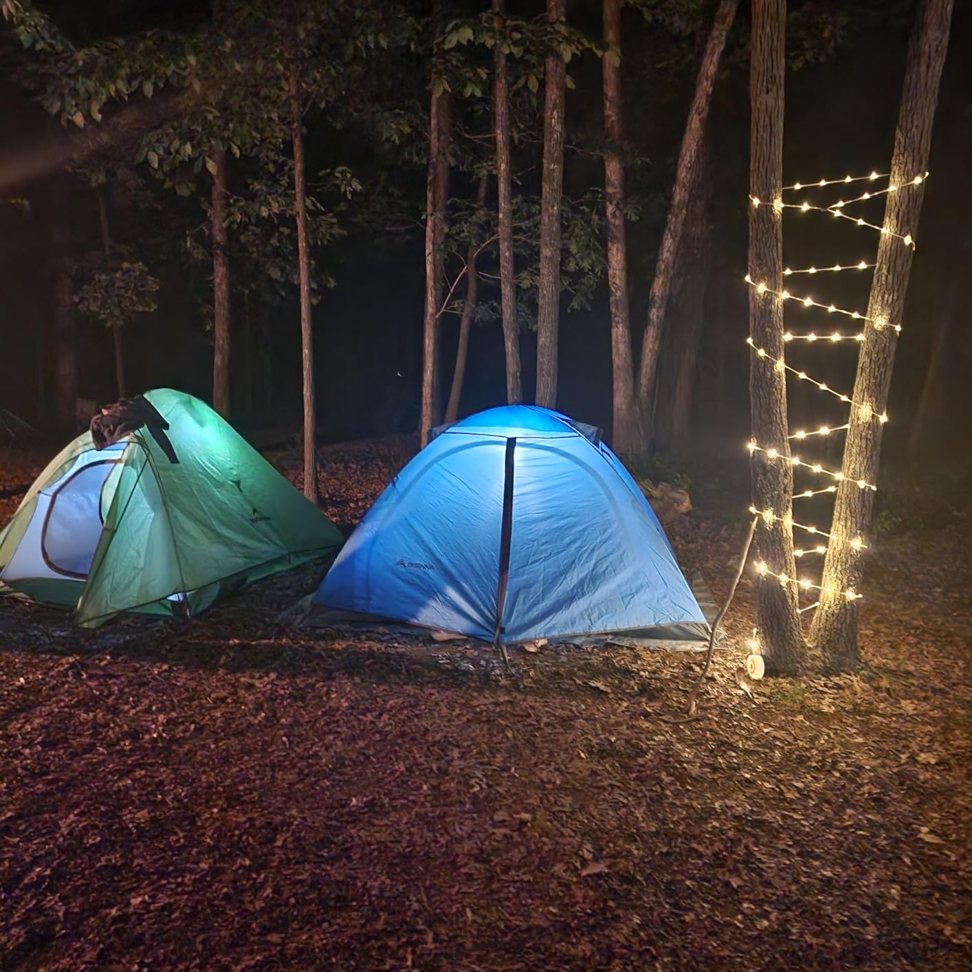 BISINNA 2/4 Person Camping Tent Lightweight Waterproof Backpacking Tent customer photo 2