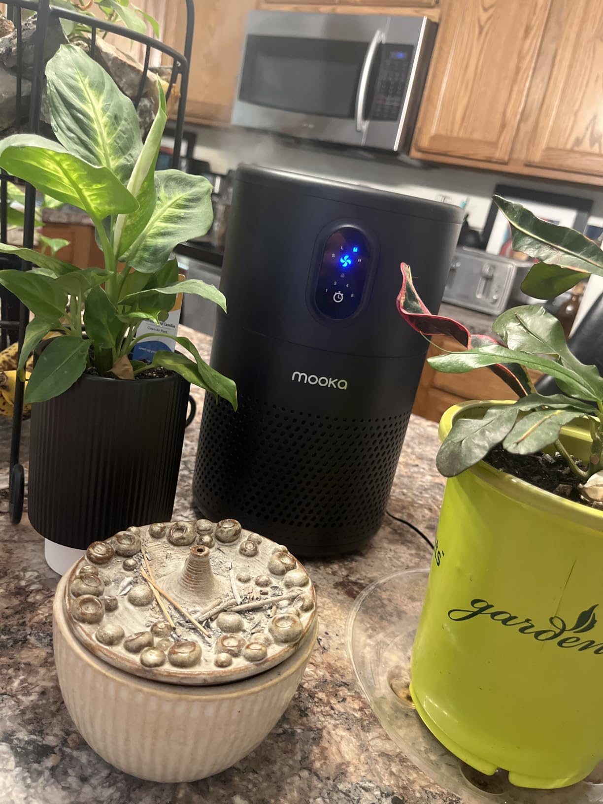 MOOKA Air Purifiers for Home Room up to 1076ft², True HEPA Filter, B-D02L customer photo 1
