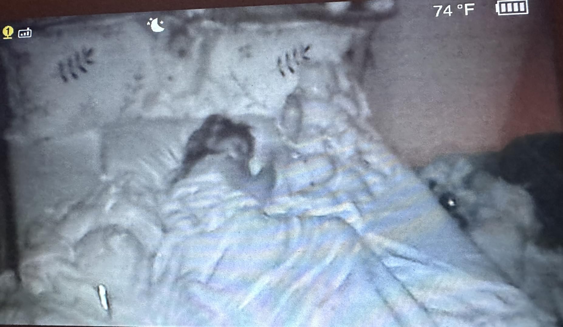 VTech Baby Monitor No WiFi – 19Hr Video Battery, 1000ft Range, Night Vision, Two-Way Talk, Temperature Sensor, Sound-Activated Screen, Lullabies | VM819 customer photo 2