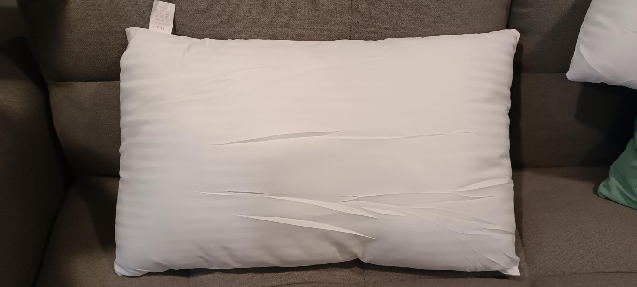 EIUE Hotel Collection Bed Pillows for Sleeping 2 Pack Queen Size，Pillows for Side and Back Sleepers,Super Soft Down Alternative Microfiber Filled Pillows,20 x 30 Inches customer photo 1