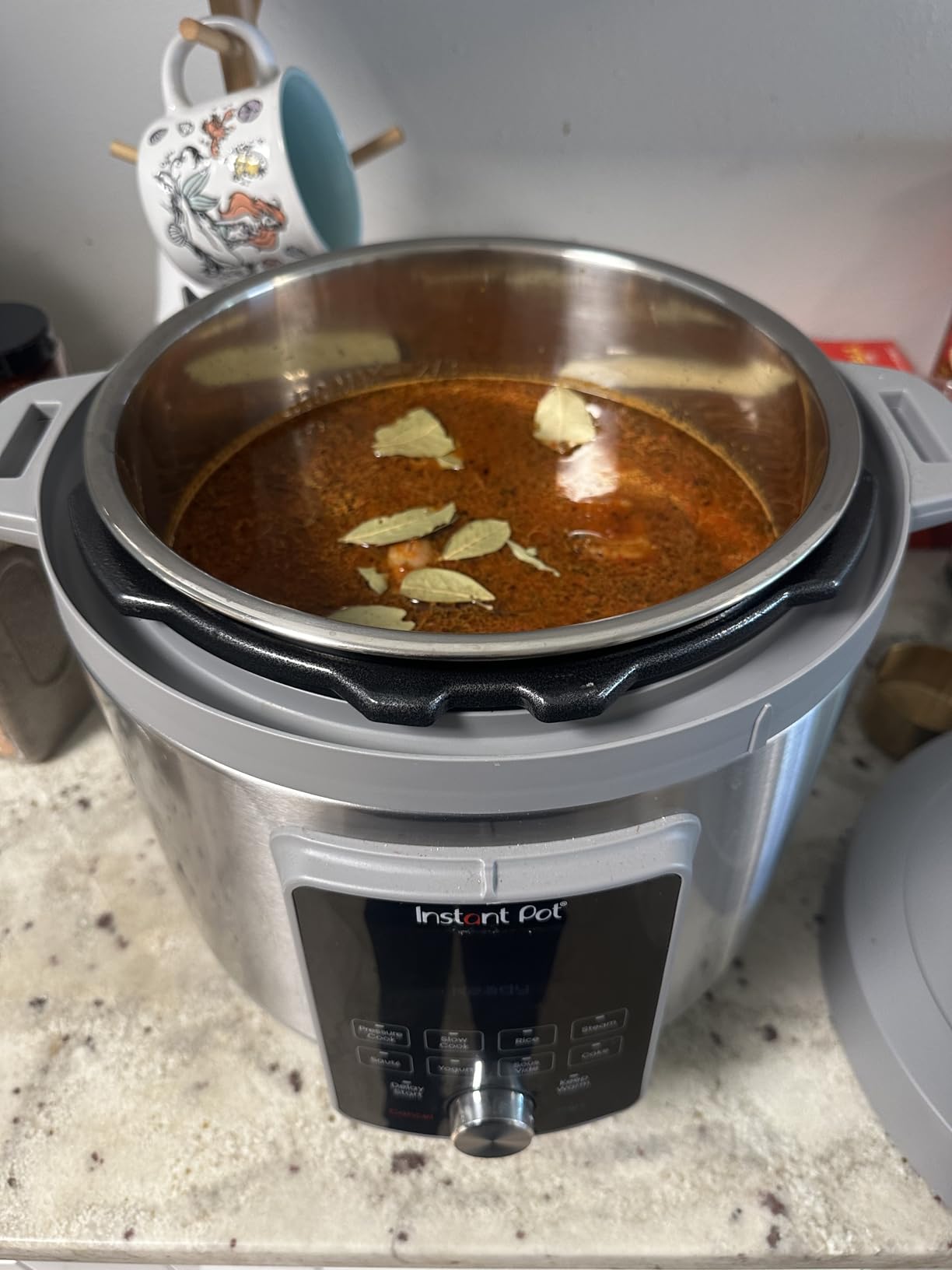 Instant Pot 6 Qt 9-in-1 Electric Pressure Cooker, WhisperQuiet customer photo 2