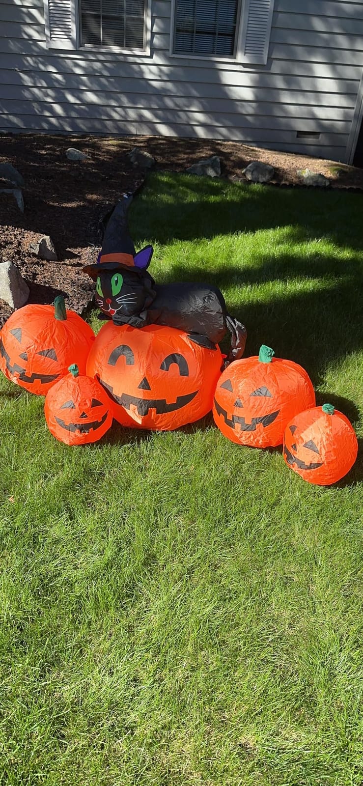 5FT Halloween Inflatable Pumpkin Outdoor Decoration, Lighted Blow Up Yard Decor, 5PCS Pumpkins with Witch’s Black Cat Built-in LED Lights for Balcony Home Holiday Party Lawn Patio Outside Events Prop customer photo 1