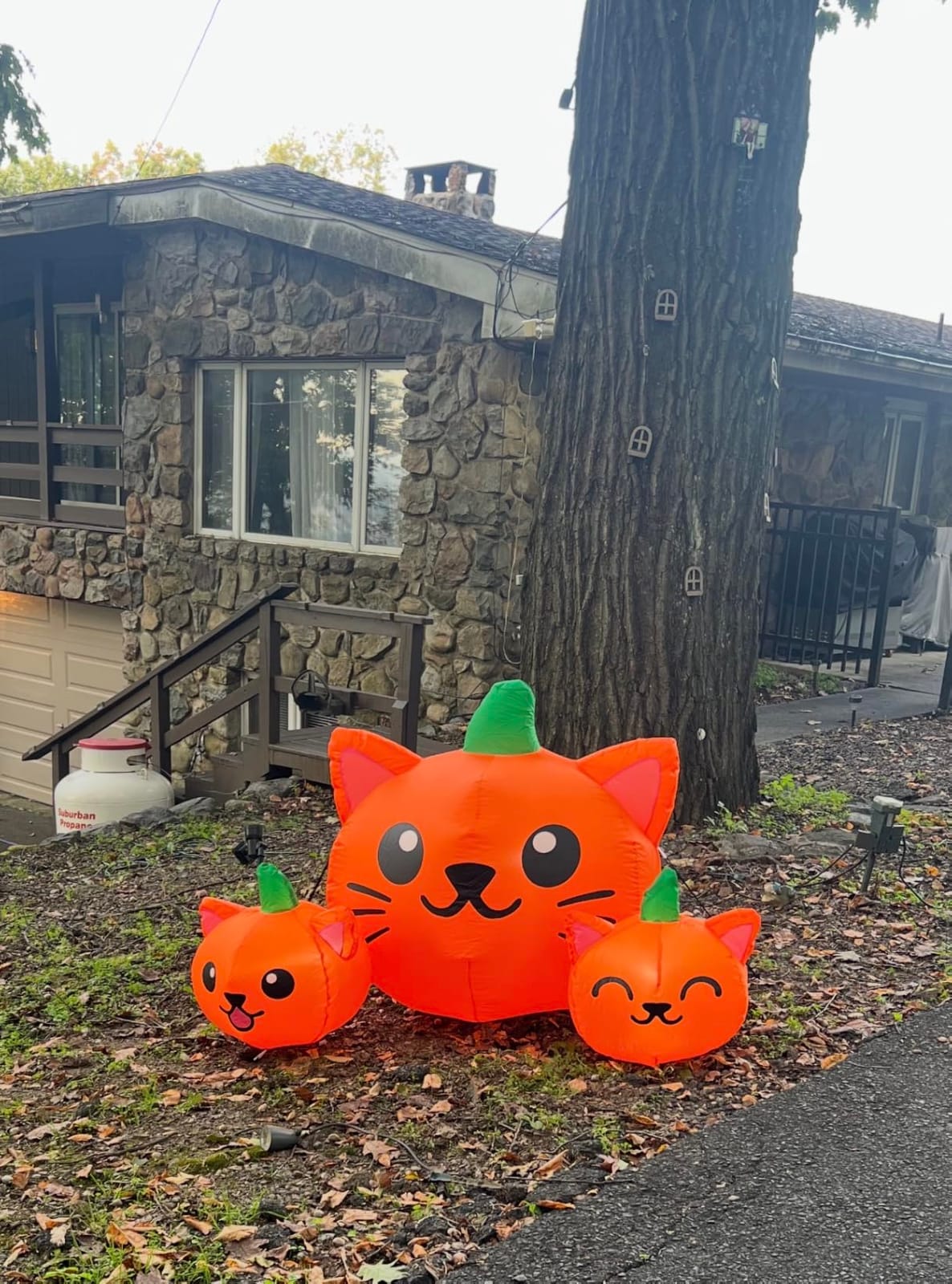 COMIN Halloween Inflatable 5FT Long Three Pumpkin Cat Head Combo with Built-in LEDs, Blow Up Yard Decoration for Holiday Party Indoor, Outdoor, Yard, Garden, Lawn customer photo 2