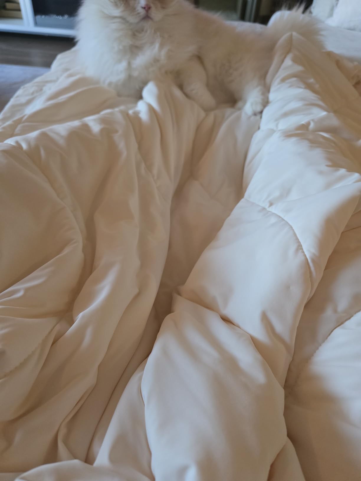 REST® Evercool® Cooling Comforter Blanket for Hot Sleepers, King/Cali King customer photo 1