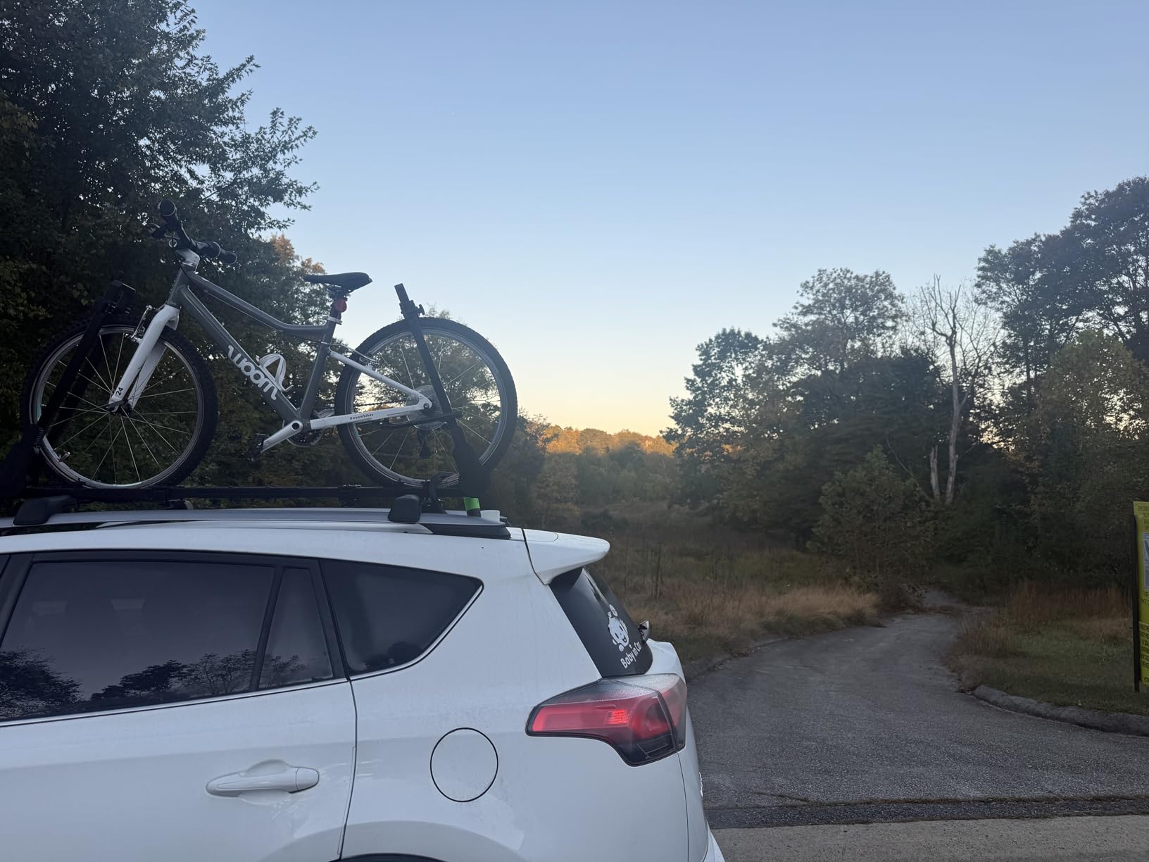 Roof Bike Rack, Upright Dual-Arm Rooftop Bike Carrier for Car SUV customer photo 1