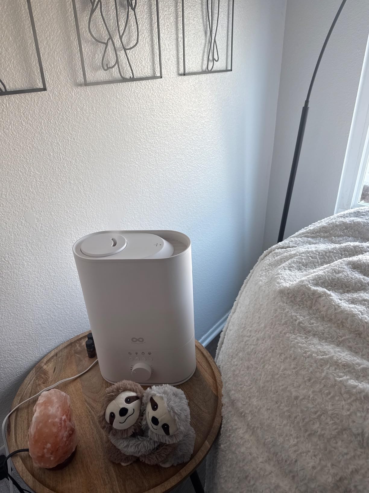 Everlasting Comfort 6L Large Humidifier for Bedroom, 28 dB Cool Mist customer photo 2