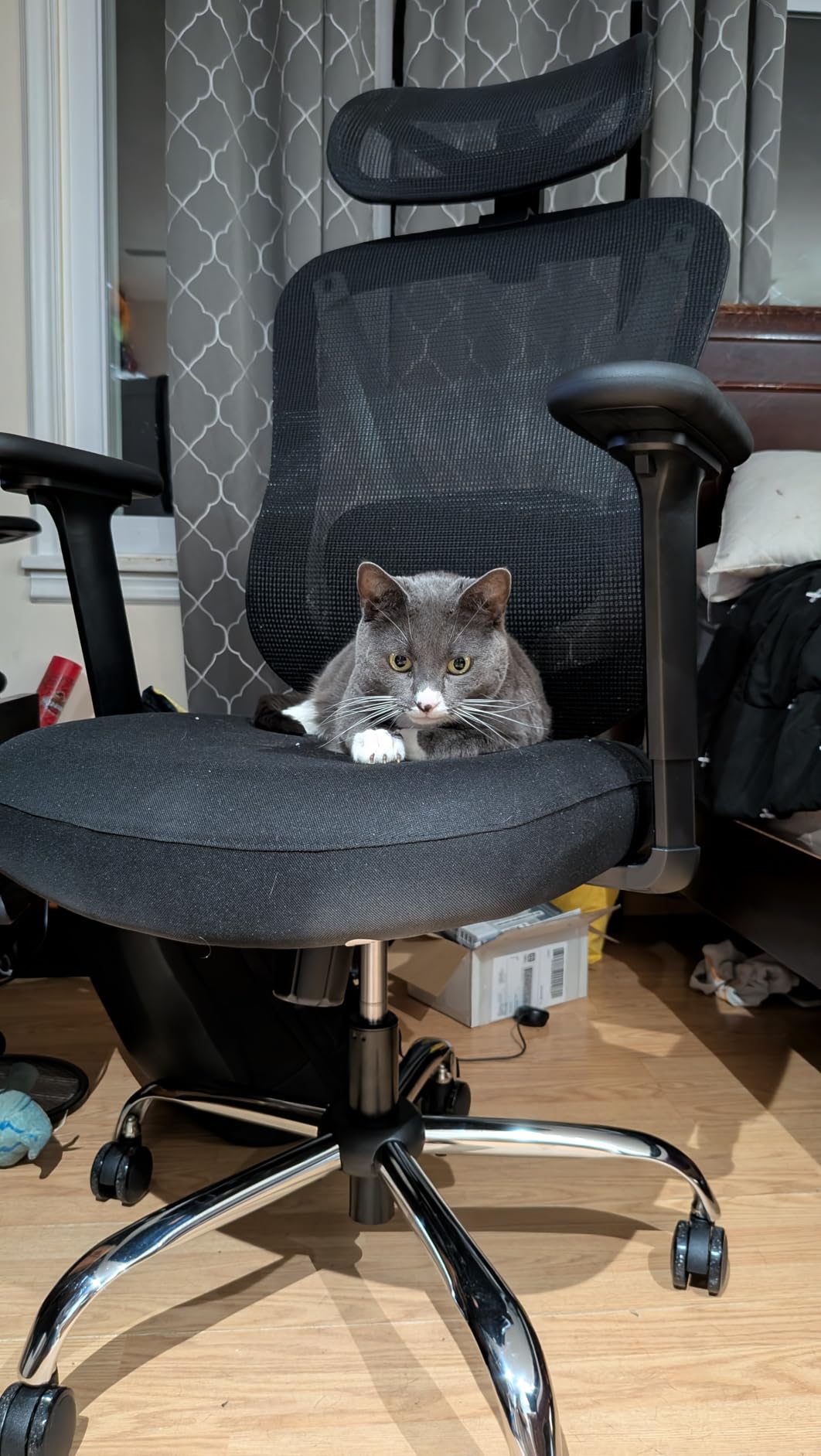 HOLLUDLE Ergonomic Mesh Office Chair, V Back Desk Chair with 2D Headrest customer photo 1