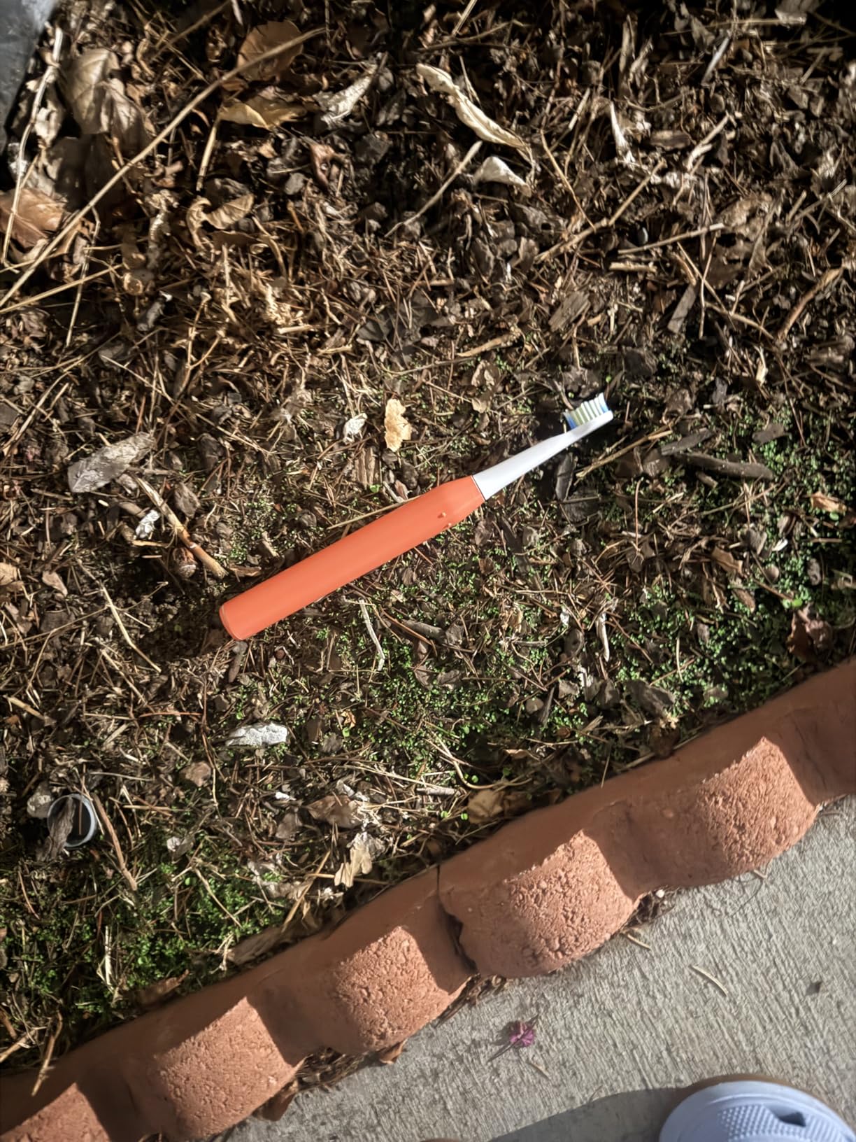Bitvae ADA Accepted Electric Toothbrush, 60-Day Battery Travel Toothbrush customer photo 1