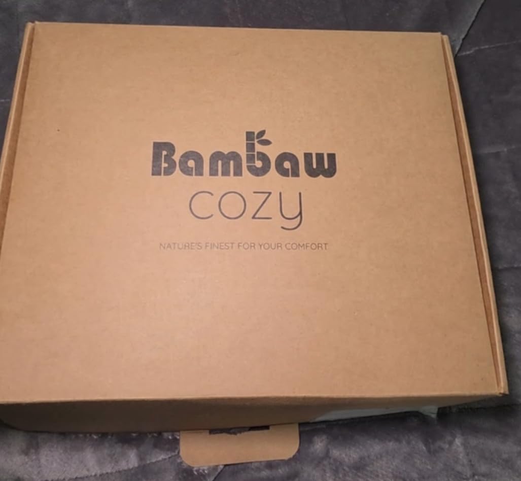 Bambaw 100% Viscose Derived from Bamboo Sheets Queen Size Set – 4pcs Cooling Sheets Queen Size, Perfect for Hot Sleepers, with Deep Pockets, Fits Up to 16'' with Elastic Corner Straps (Ivory) customer photo 1