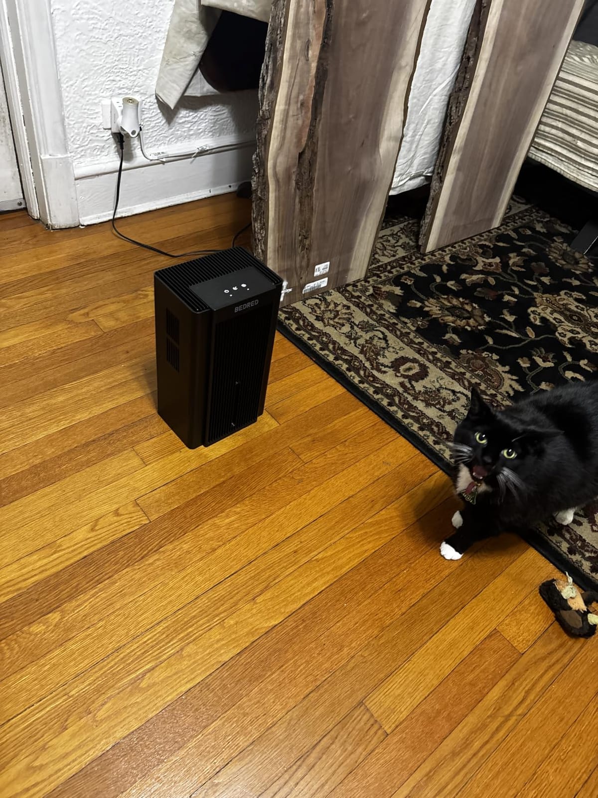 BEDRED Dehumidifier, 95Oz Dehumidifier for Home 1000 Sq.Ft customer photo 1