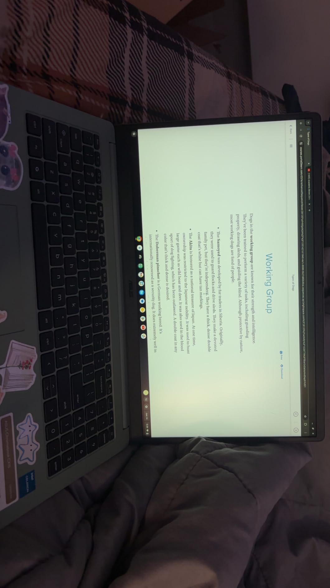 ASUS 2026 15