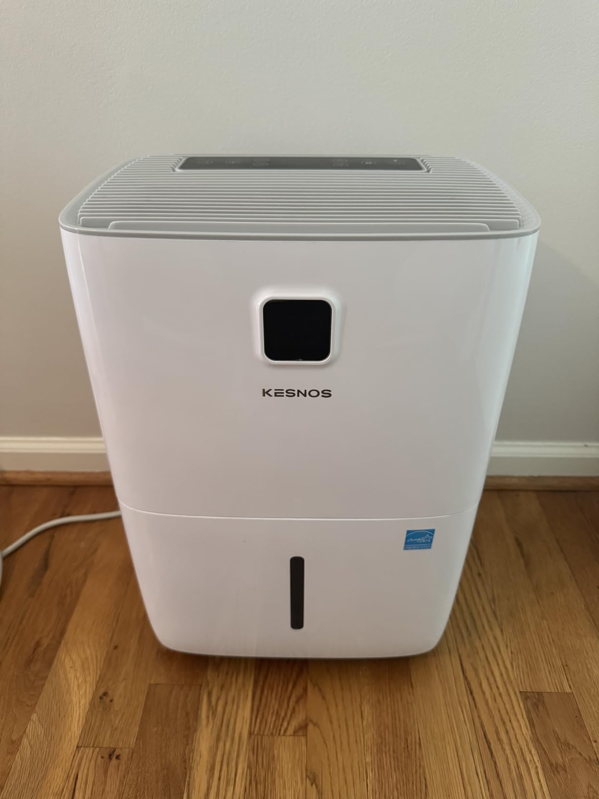 Kesnos 2,500 Sq. Ft. Energy Star Dehumidifier for Basement with Drain Hose customer photo 2