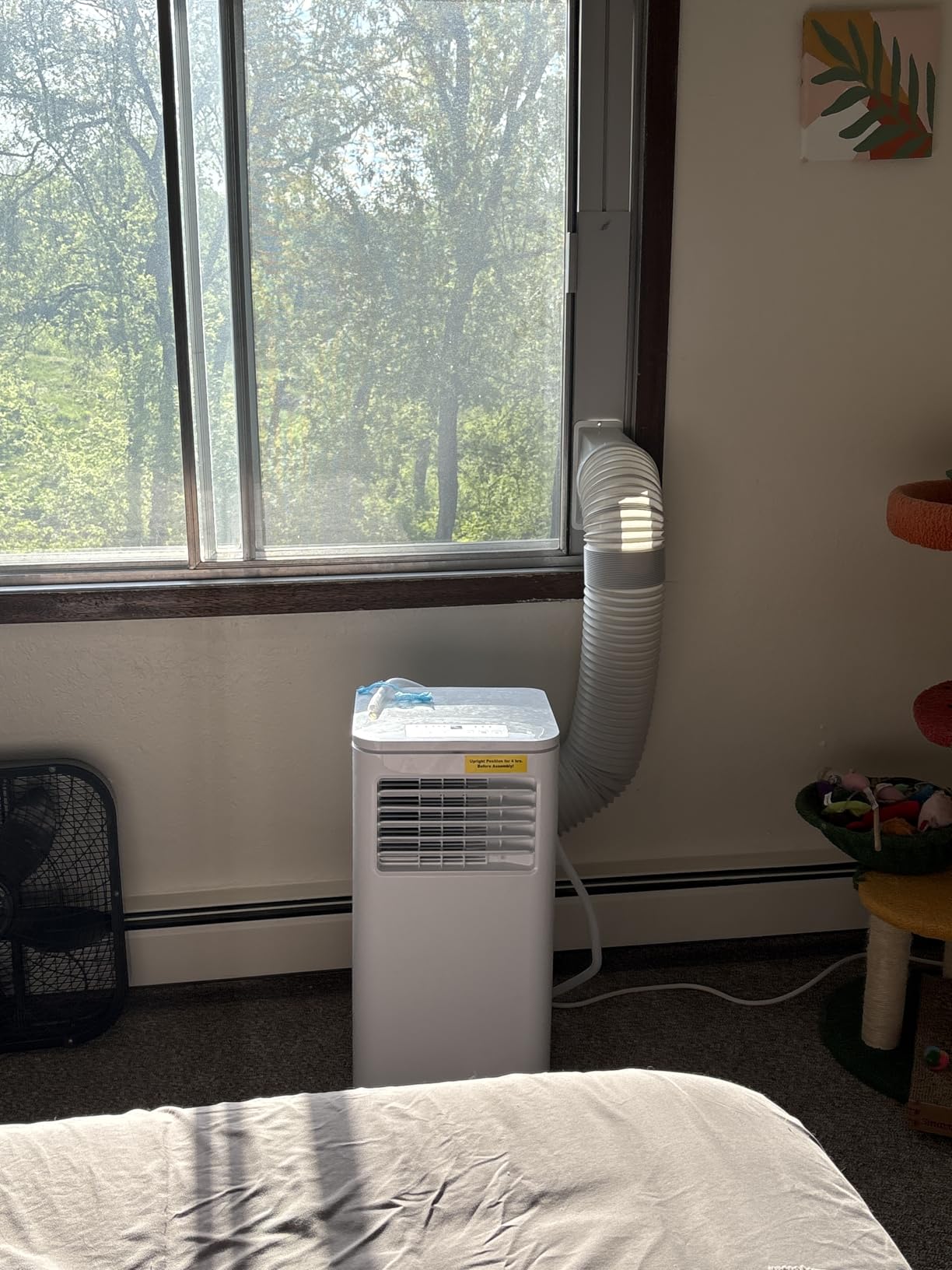 Antarctic Star 8000 BTU ASHRAE Portable Air Conditioner, 4‑in‑1 Quiet AC Unit with Dehumidifier & Fan Mode, Ultra Easy Install, Cools up to 350 Sq Ft for Bedroom, Office, Studio & Apartment customer photo 2