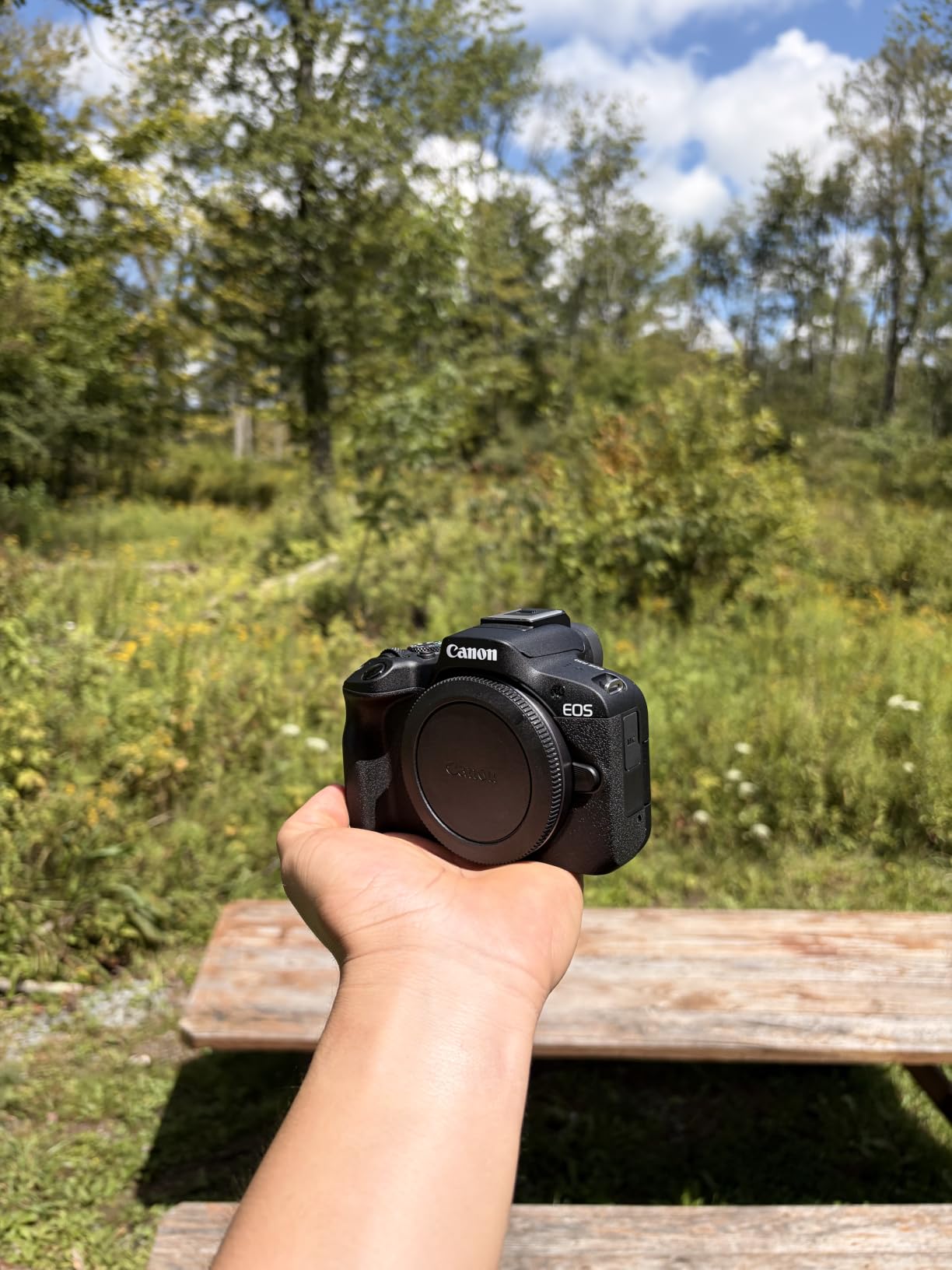 Canon EOS R50 Mirrorless Camera Kit – APS-C RF Camera with 18-45mm Lens, 4K Video, Dual Pixel AF II & Vari-Angle Touchscreen + Shoulder Bag + 2 x 64GB Cards customer photo 1